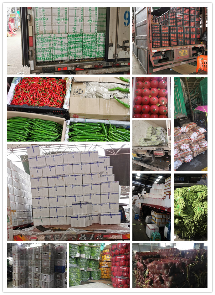 俄罗斯专享会294·VIP(中国区)官方网站