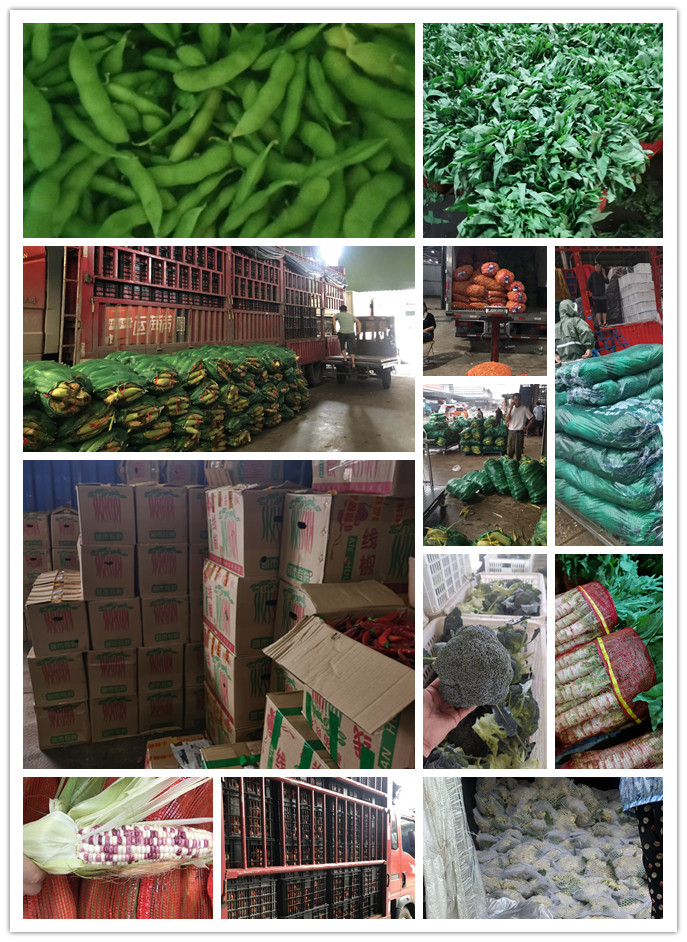 俄罗斯专享会294·VIP(中国区)官方网站