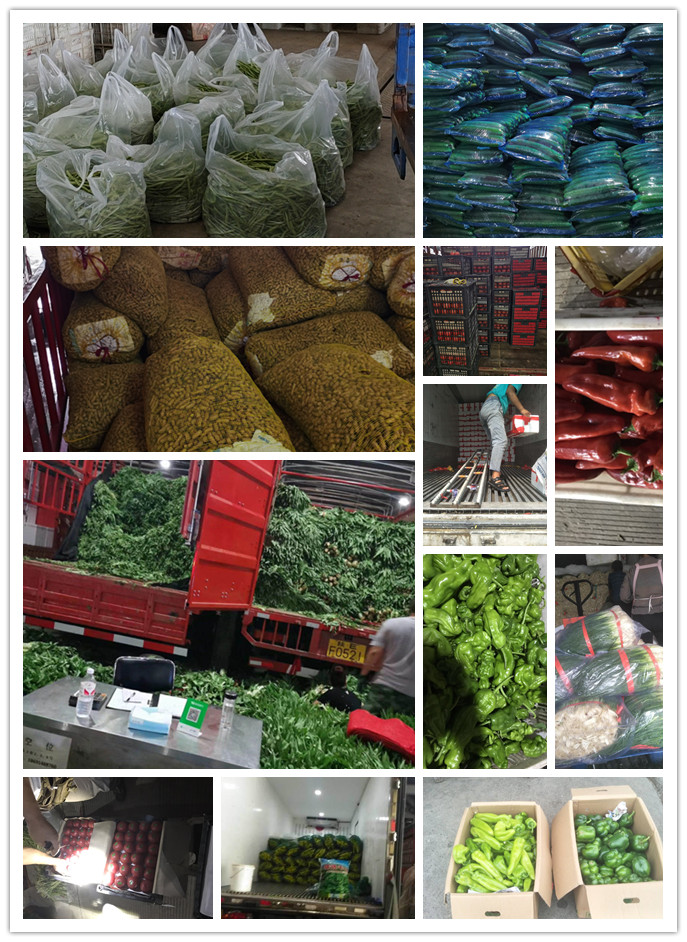 俄罗斯专享会294·VIP(中国区)官方网站