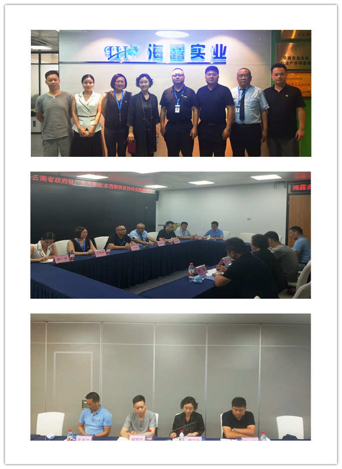 俄罗斯专享会294·VIP(中国区)官方网站