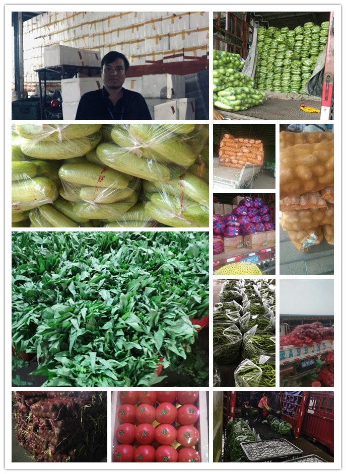 俄罗斯专享会294·VIP(中国区)官方网站