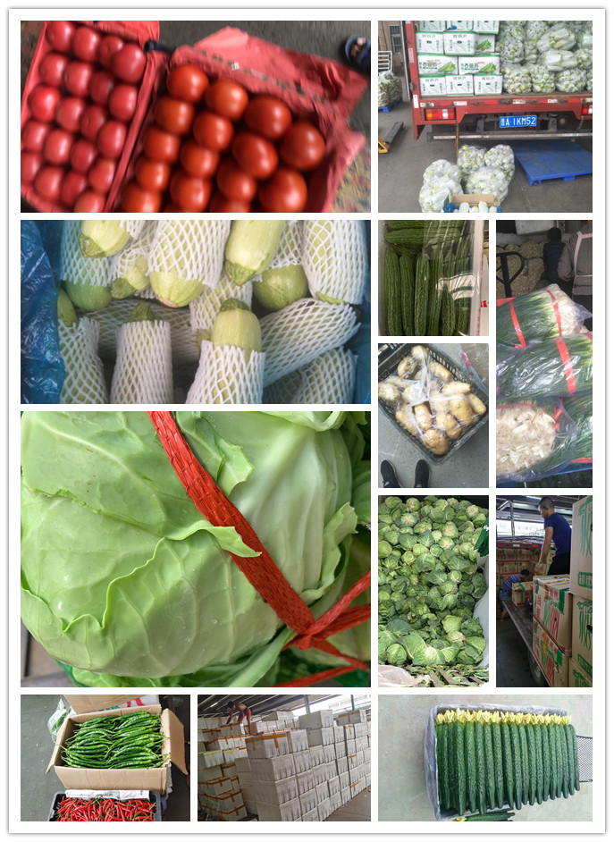 俄罗斯专享会294·VIP(中国区)官方网站