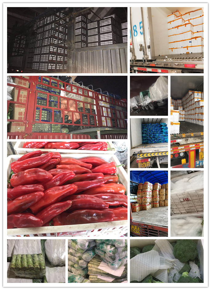 俄罗斯专享会294·VIP(中国区)官方网站