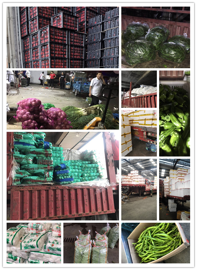 俄罗斯专享会294·VIP(中国区)官方网站