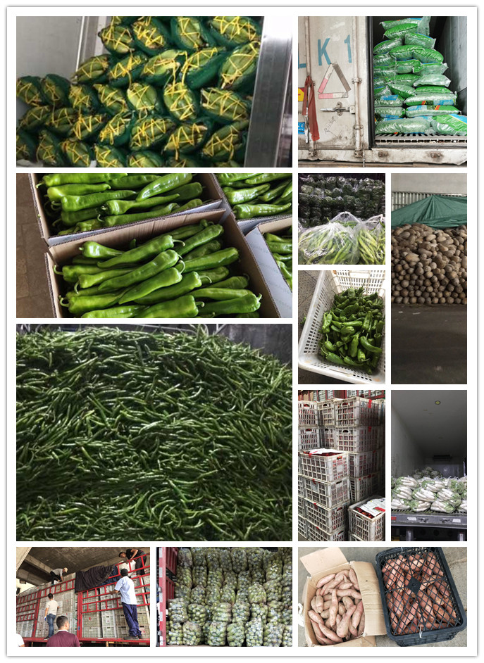 俄罗斯专享会294·VIP(中国区)官方网站