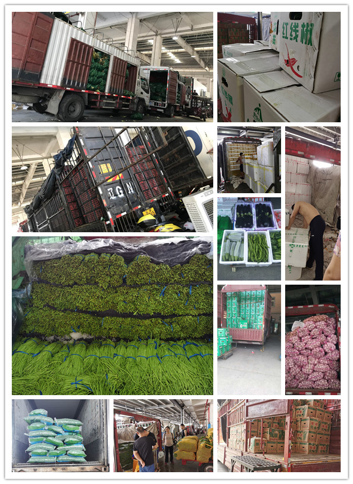 俄罗斯专享会294·VIP(中国区)官方网站