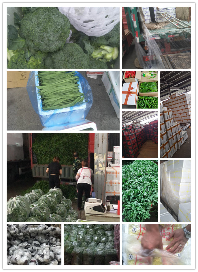 俄罗斯专享会294·VIP(中国区)官方网站