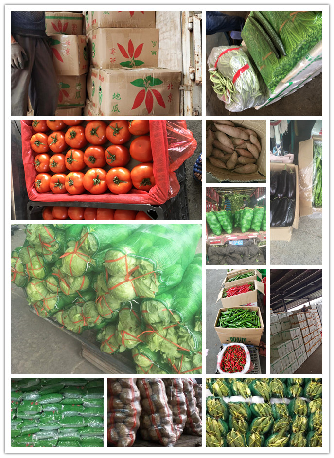 俄罗斯专享会294·VIP(中国区)官方网站