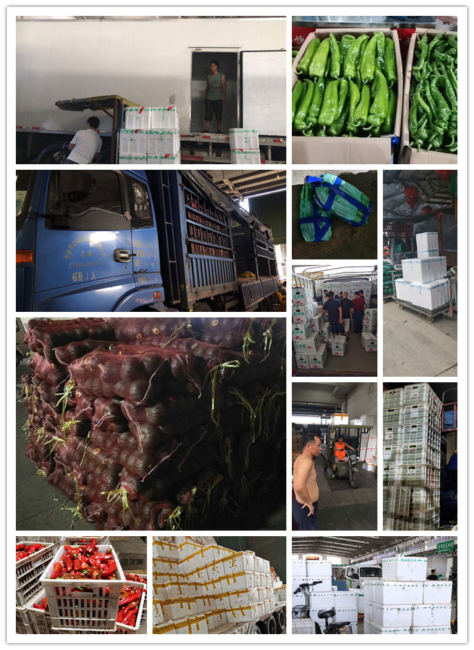 俄罗斯专享会294·VIP(中国区)官方网站