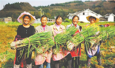 俄罗斯专享会294·VIP(中国区)官方网站