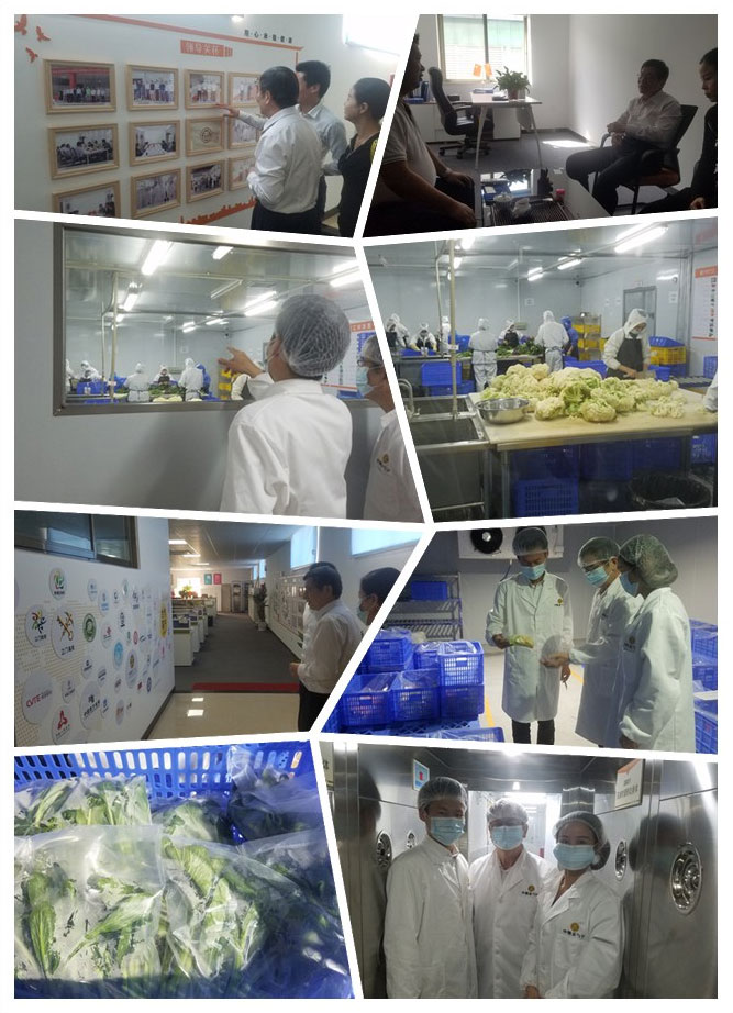 俄罗斯专享会294·VIP(中国区)官方网站