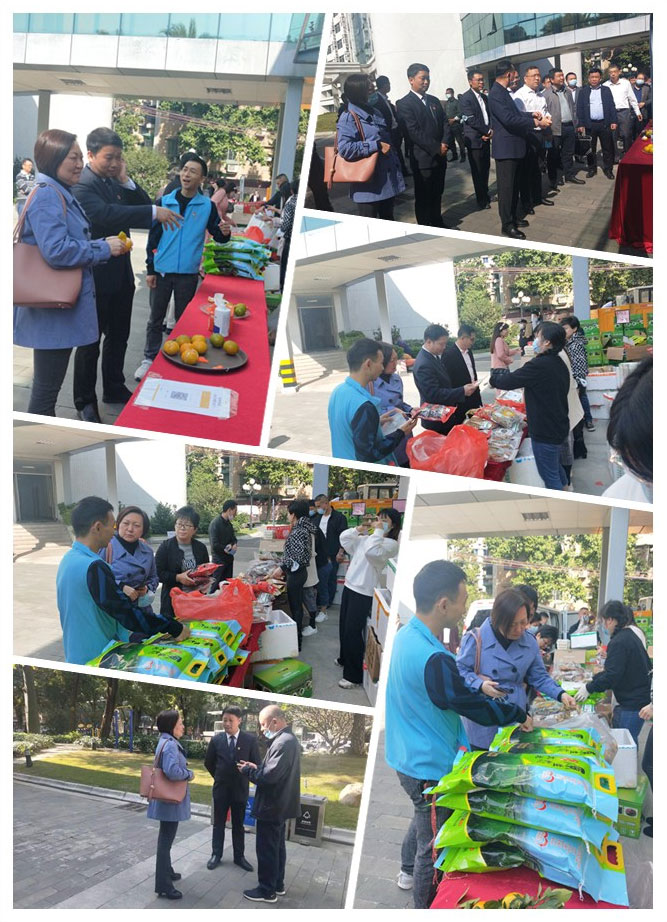 俄罗斯专享会294·VIP(中国区)官方网站