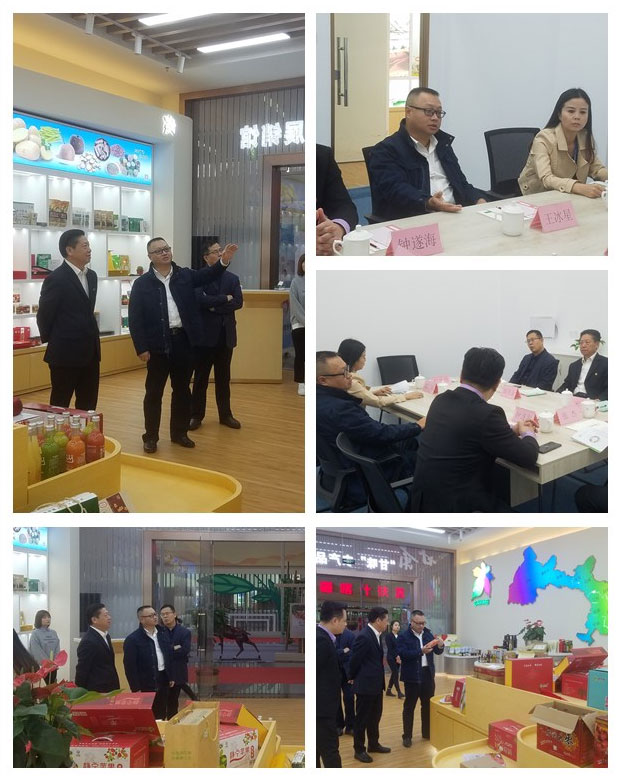 俄罗斯专享会294·VIP(中国区)官方网站