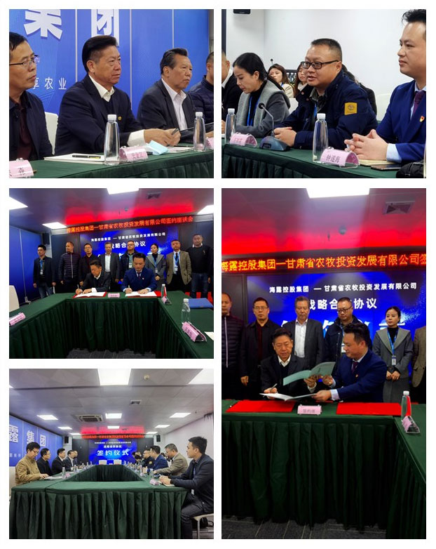 俄罗斯专享会294·VIP(中国区)官方网站