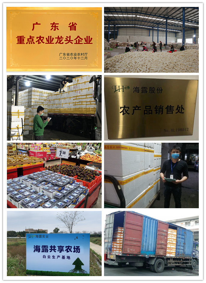 俄罗斯专享会294·VIP(中国区)官方网站