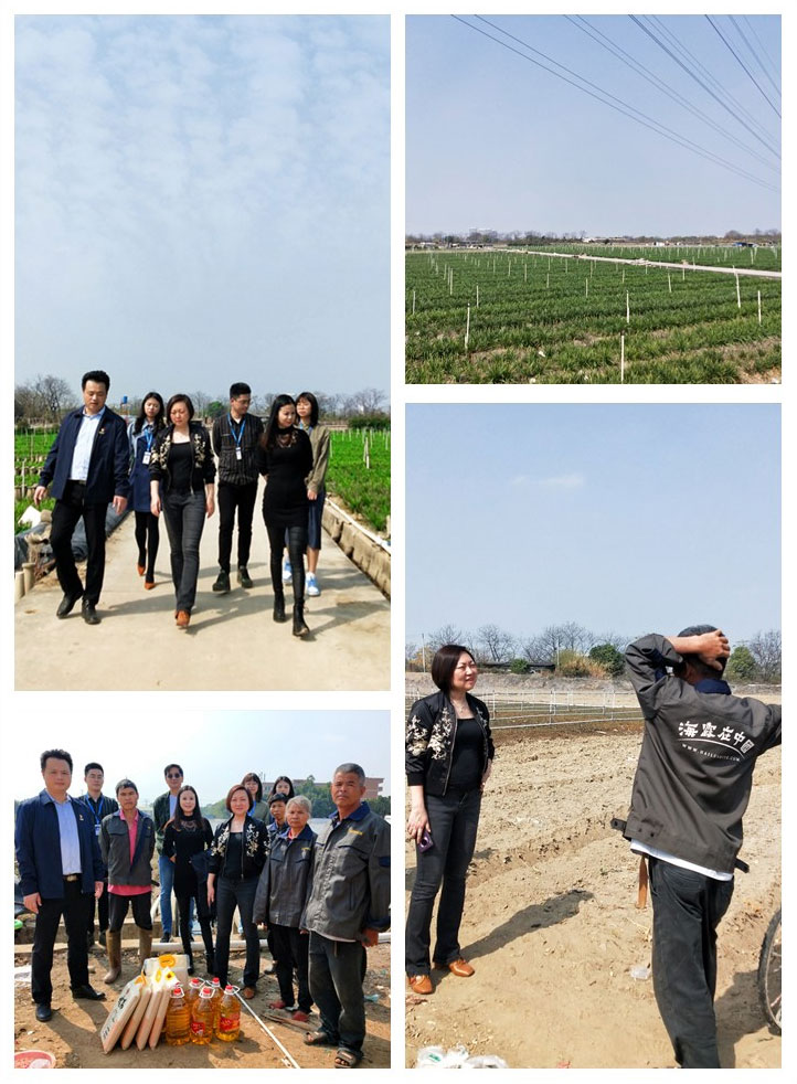 俄罗斯专享会294·VIP(中国区)官方网站