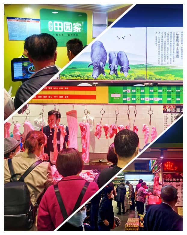 俄罗斯专享会294·VIP(中国区)官方网站