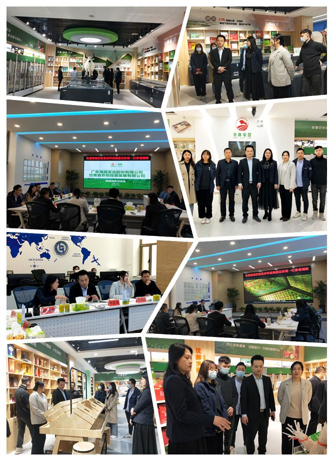 俄罗斯专享会294·VIP(中国区)官方网站