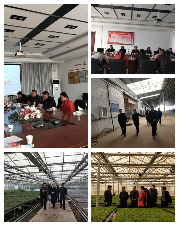 俄罗斯专享会294·VIP(中国区)官方网站