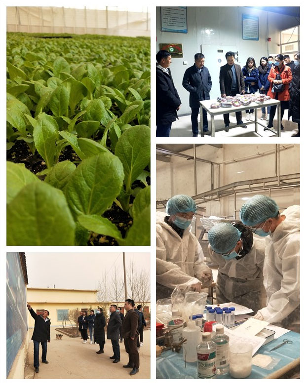 俄罗斯专享会294·VIP(中国区)官方网站