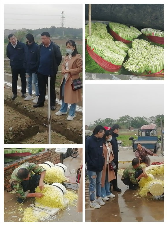 俄罗斯专享会294·VIP(中国区)官方网站