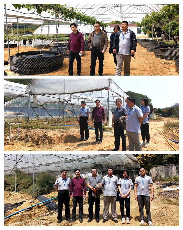 俄罗斯专享会294·VIP(中国区)官方网站