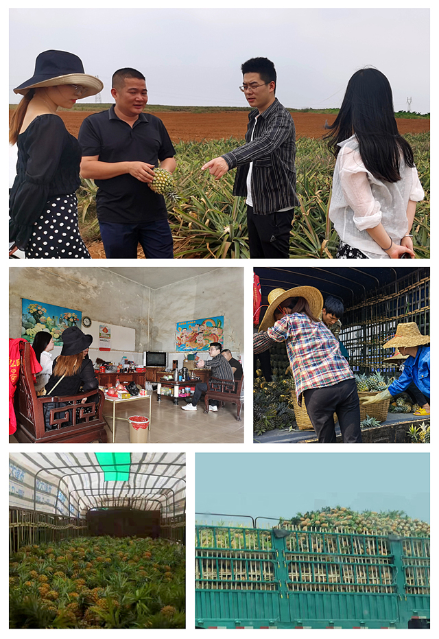 俄罗斯专享会294·VIP(中国区)官方网站