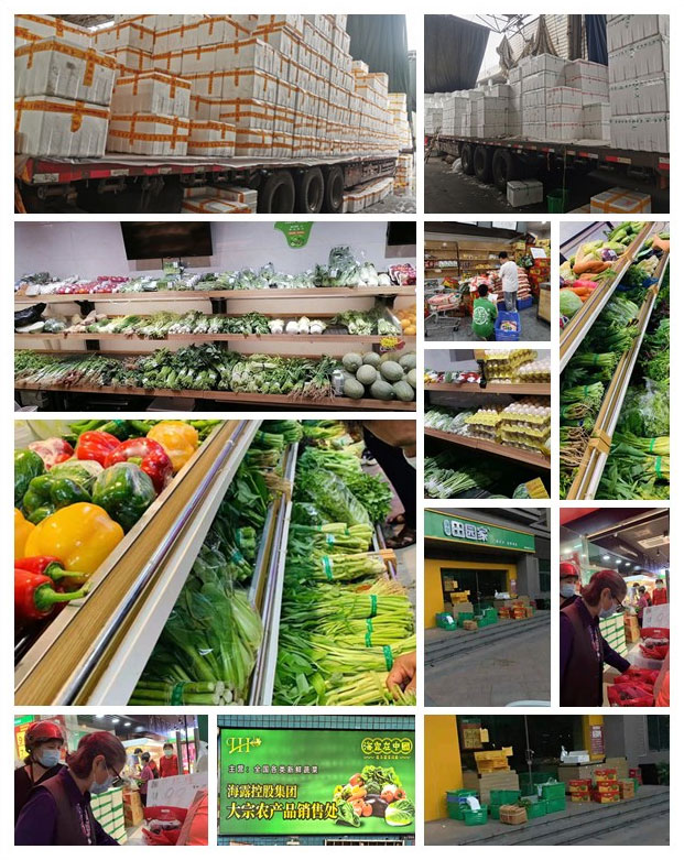 俄罗斯专享会294·VIP(中国区)官方网站