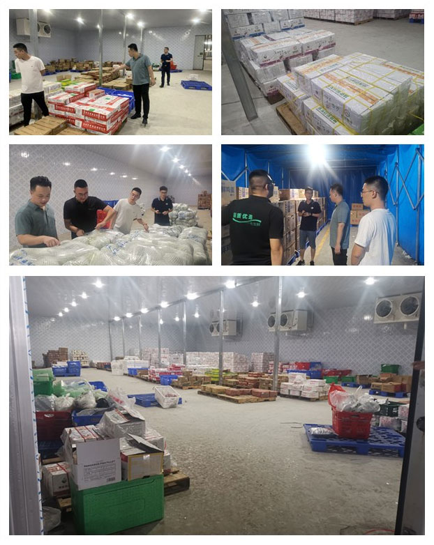 俄罗斯专享会294·VIP(中国区)官方网站