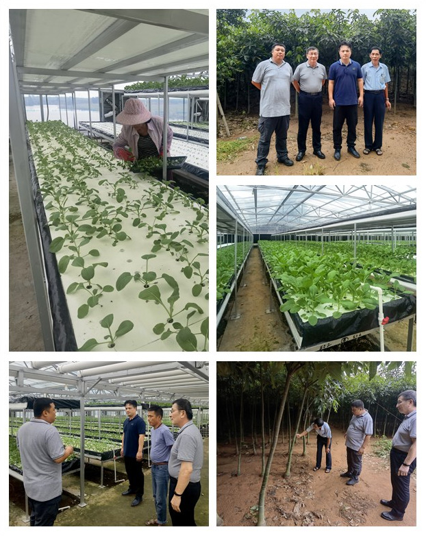 俄罗斯专享会294·VIP(中国区)官方网站