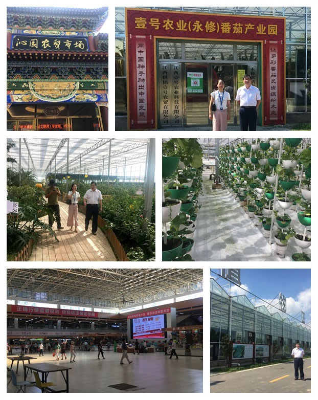 俄罗斯专享会294·VIP(中国区)官方网站