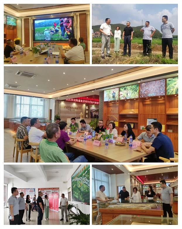 俄罗斯专享会294·VIP(中国区)官方网站