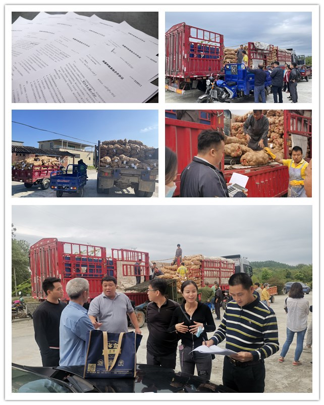 俄罗斯专享会294·VIP(中国区)官方网站