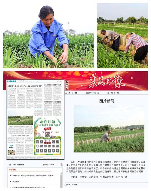 俄罗斯专享会294·VIP(中国区)官方网站