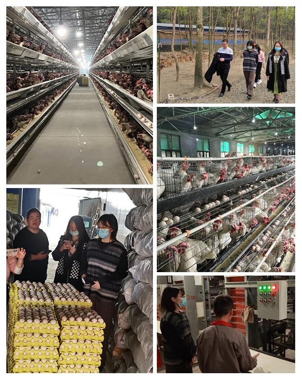 俄罗斯专享会294·VIP(中国区)官方网站