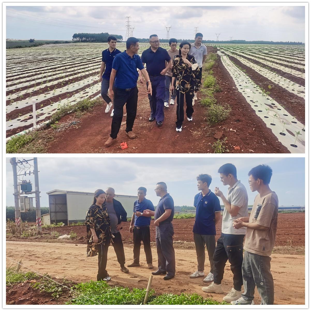 俄罗斯专享会294·VIP(中国区)官方网站