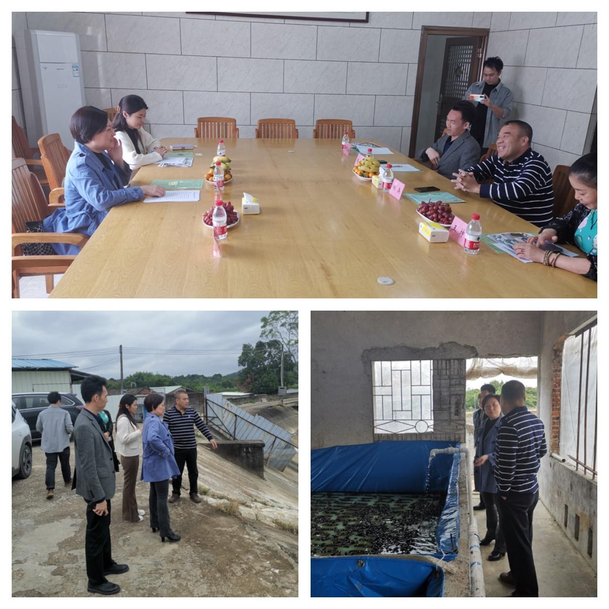 俄罗斯专享会294·VIP(中国区)官方网站