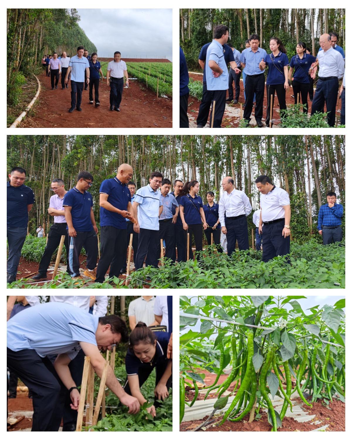 俄罗斯专享会294·VIP(中国区)官方网站