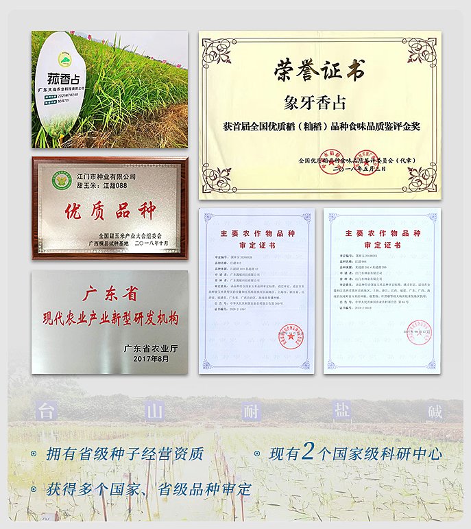 俄罗斯专享会294·VIP(中国区)官方网站