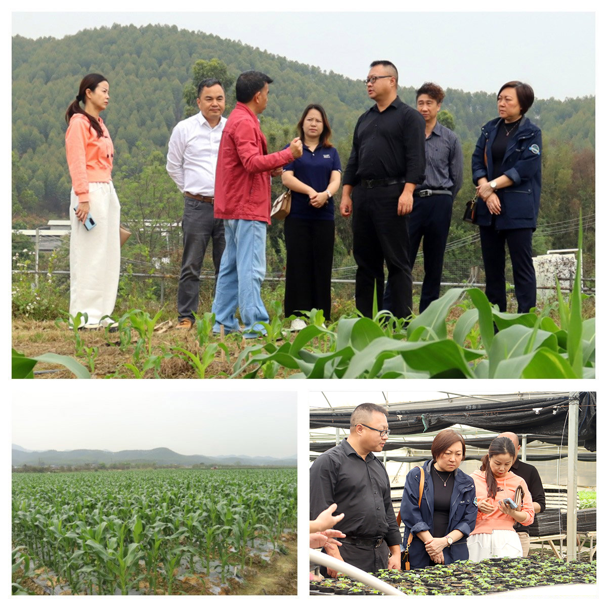 俄罗斯专享会294·VIP(中国区)官方网站