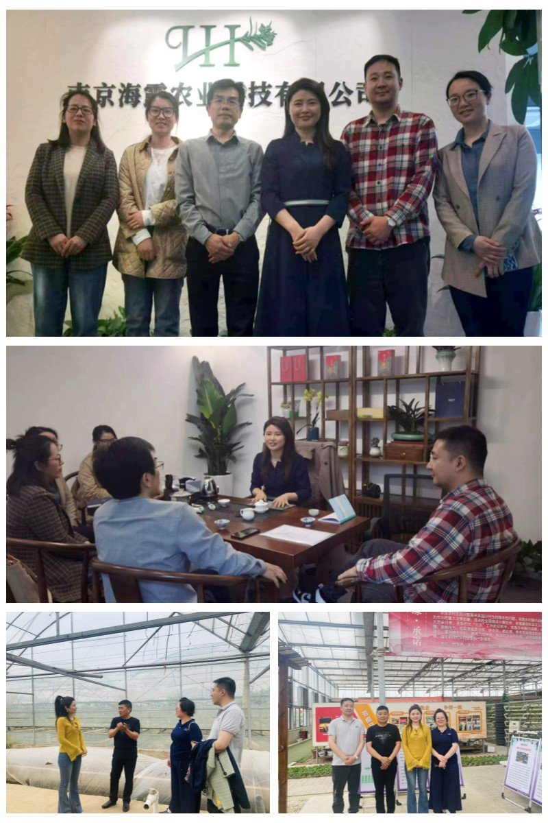 俄罗斯专享会294·VIP(中国区)官方网站