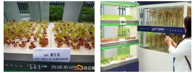 俄罗斯专享会294·VIP(中国区)官方网站