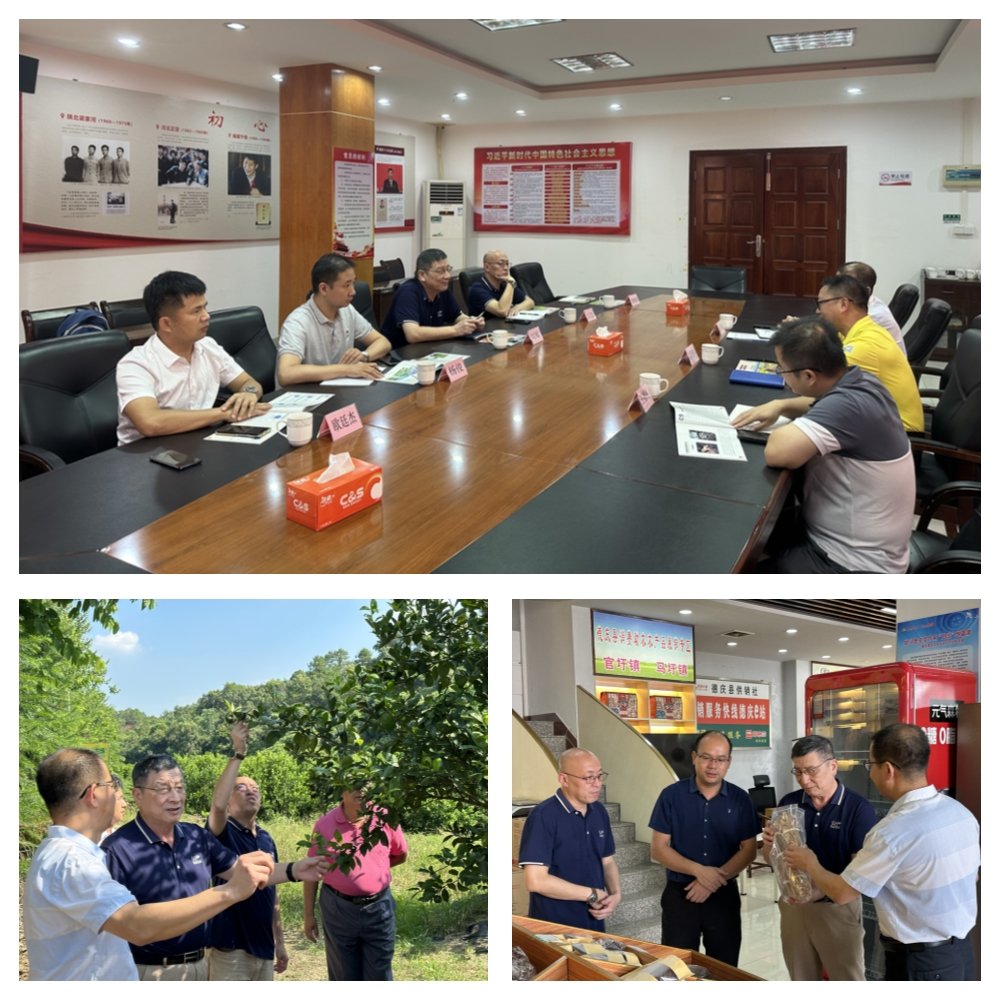 俄罗斯专享会294·VIP(中国区)官方网站