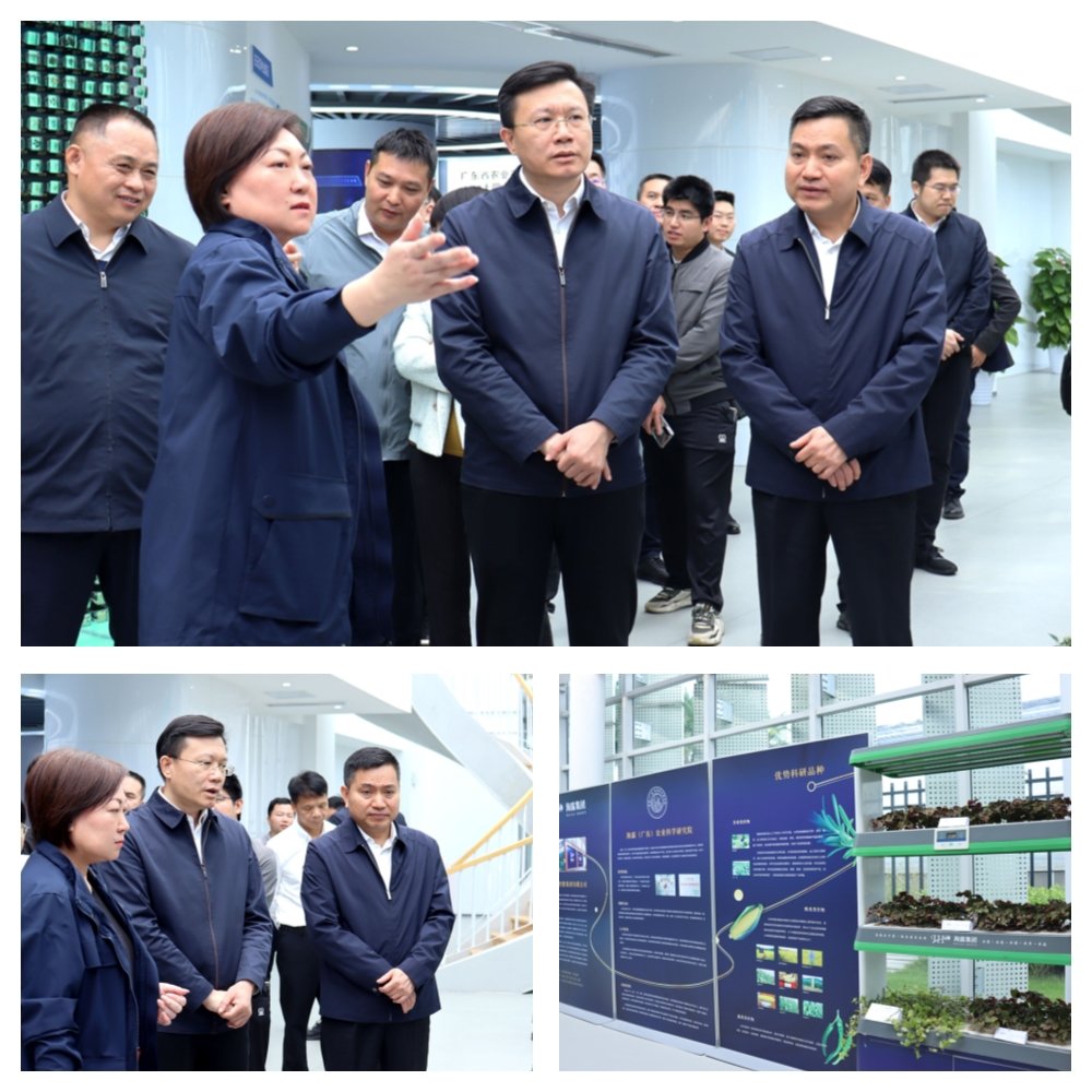 俄罗斯专享会294·VIP(中国区)官方网站