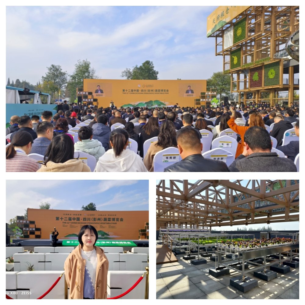 俄罗斯专享会294·VIP(中国区)官方网站