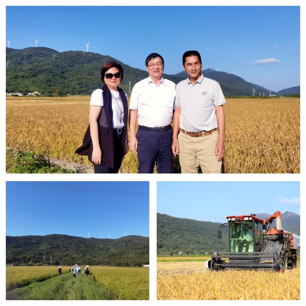 俄罗斯专享会294·VIP(中国区)官方网站