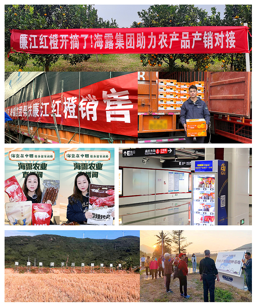 俄罗斯专享会294·VIP(中国区)官方网站