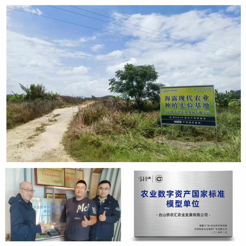 俄罗斯专享会294·VIP(中国区)官方网站