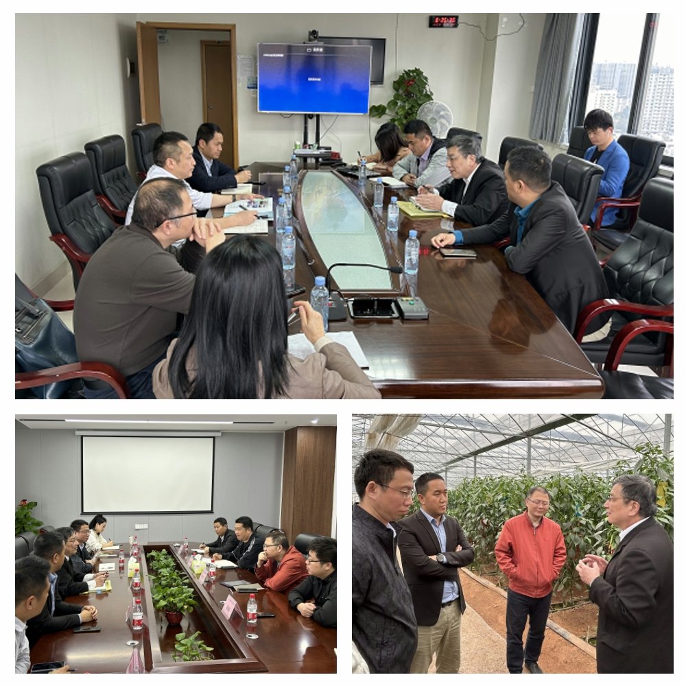 俄罗斯专享会294·VIP(中国区)官方网站