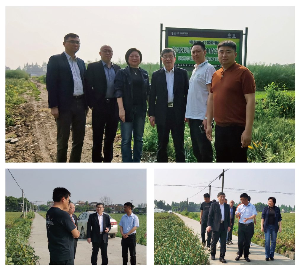 俄罗斯专享会294·VIP(中国区)官方网站